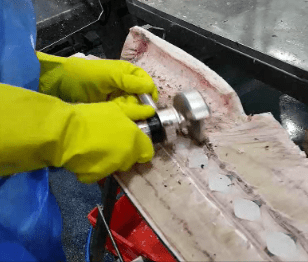 Limpiadora PL en uso sobre filete de pescado