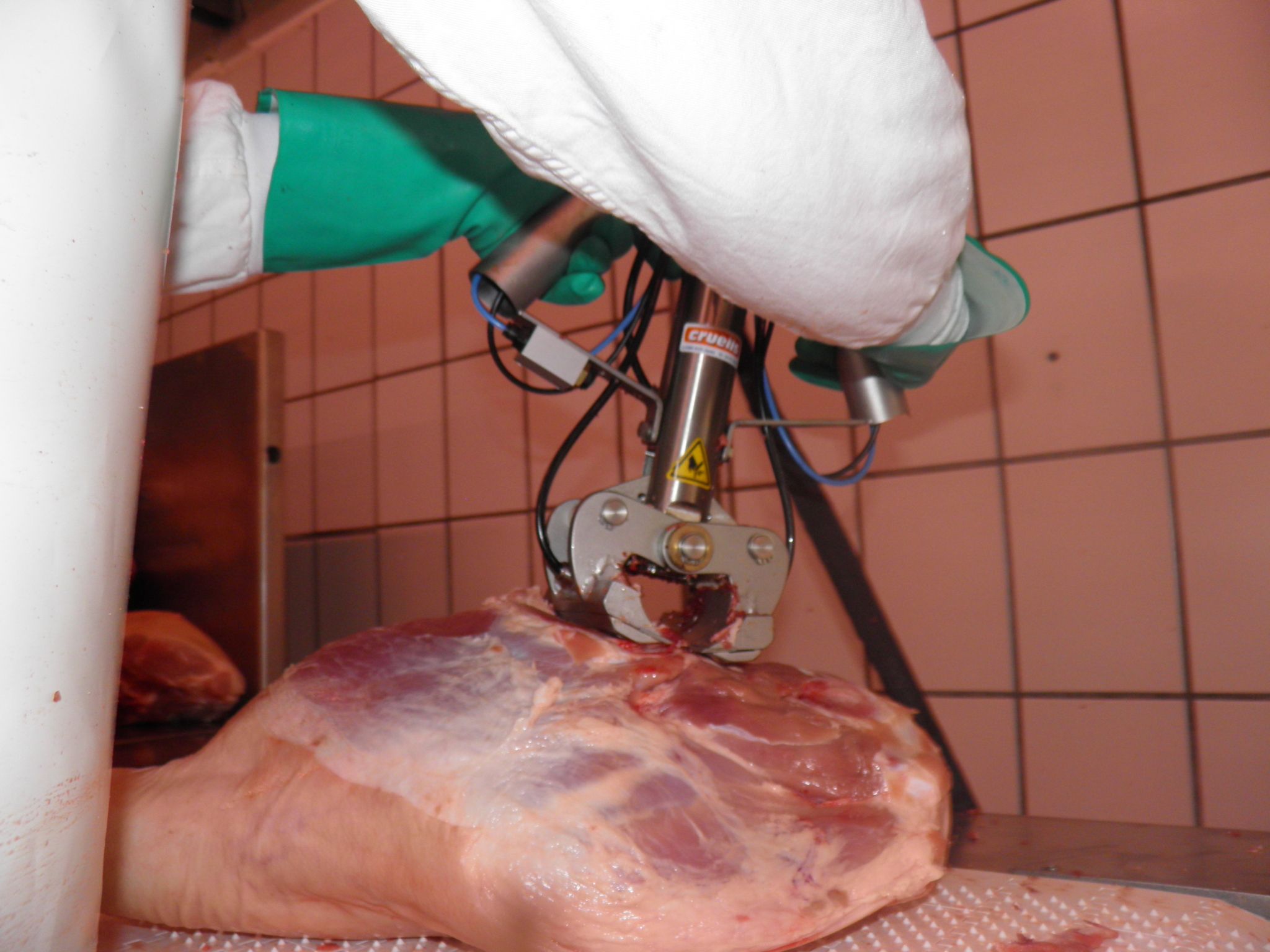 Cizalla CZ en uso sobre jamón, vista inferior