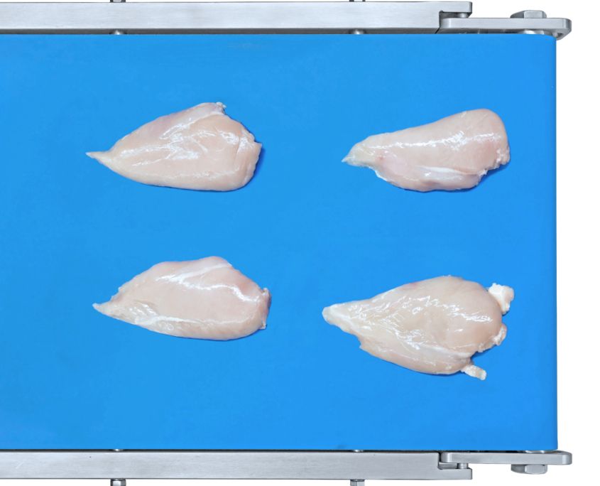 Cortex CBP 498 POULTRY - POLLO